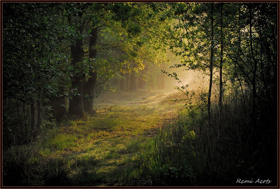 фото "***" метки: пейзаж, весна, закат