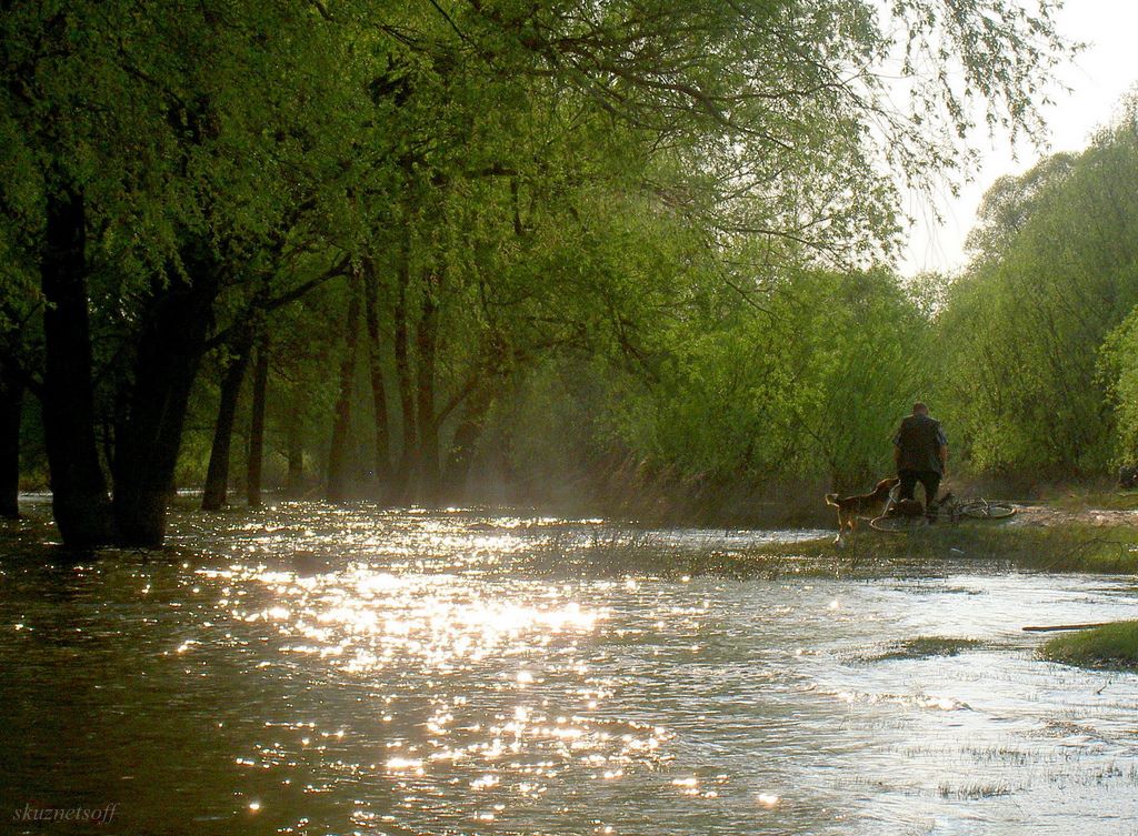 фото "Разлив" метки: пейзаж, весна, вода