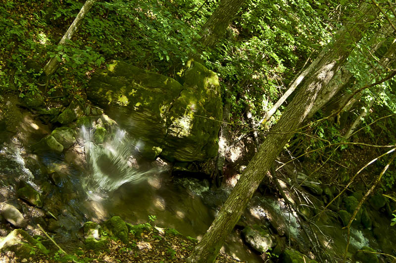 photo "Splash" tags: landscape, forest, water