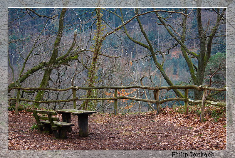 photo "Secluded corner" tags: landscape, autumn, forest