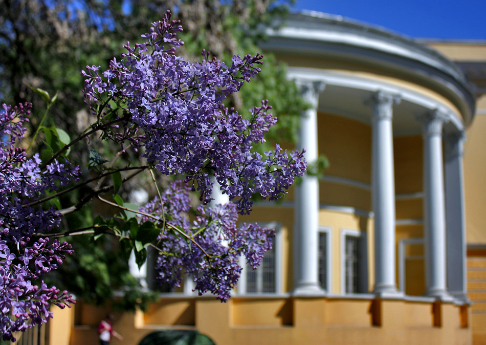 photo "Lilac and columns ..." tags: architecture, landscape, spring