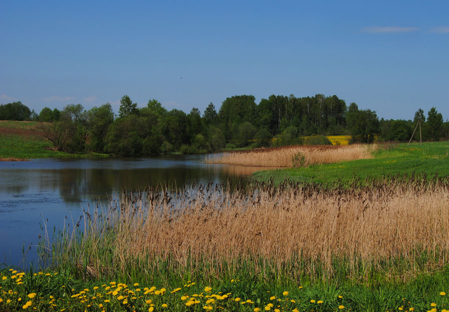 photo "***" tags: landscape, spring