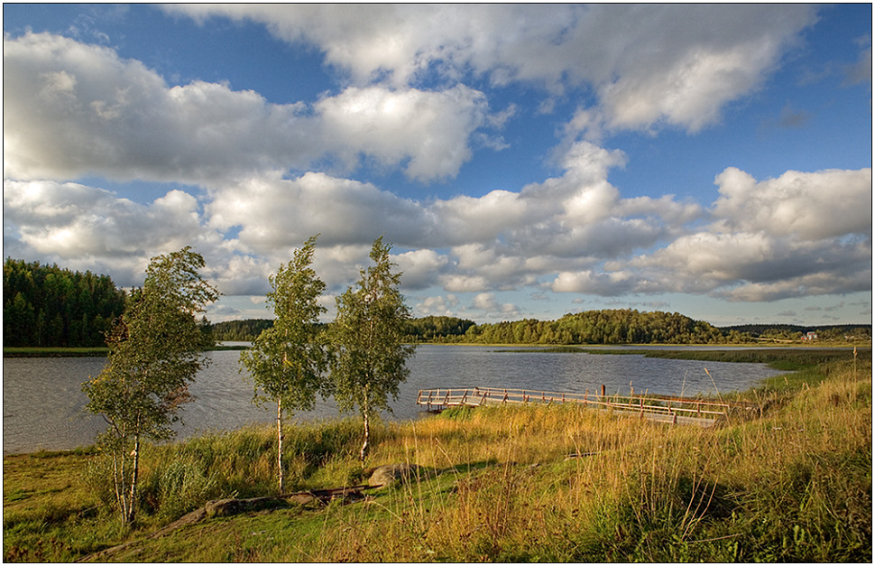 photo "Gulf Kurkijoki" tags: landscape, summer, water