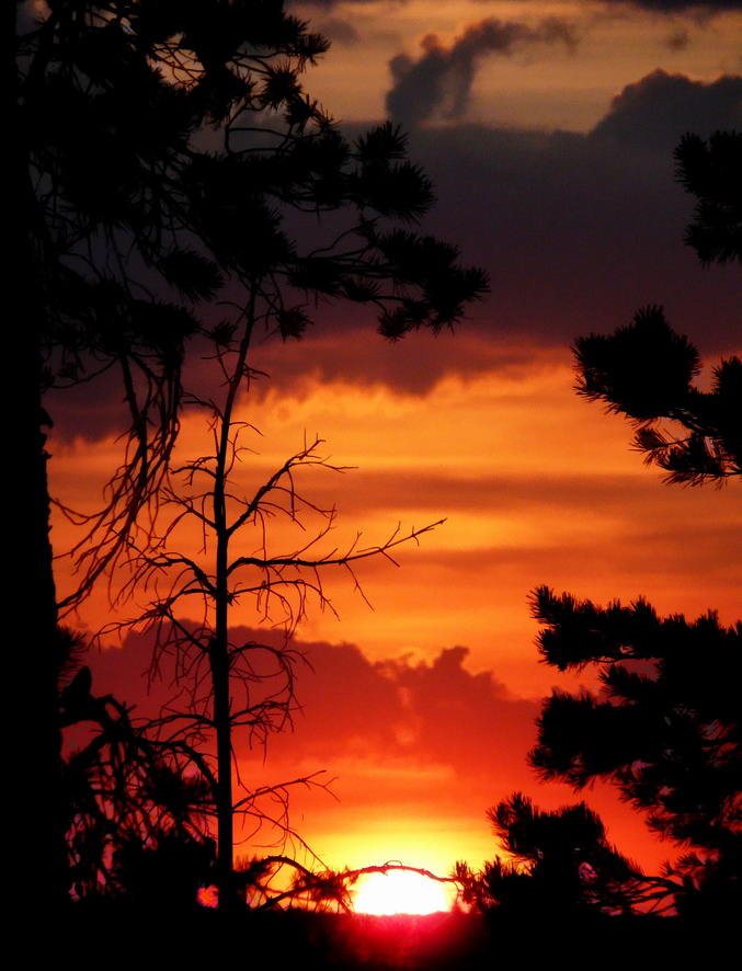 photo "***" tags: landscape, sunset
