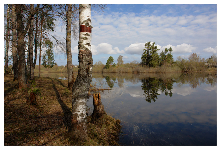 photo "Lake Ohvat" tags: landscape, spring, water