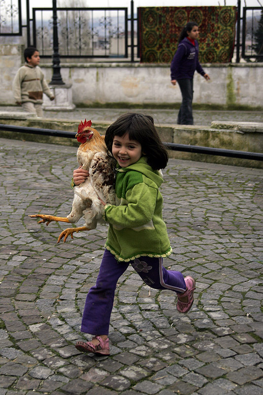 photo "Miss, Your Chicken isn't Fried Enough!" tags: travel, Asia, Europe