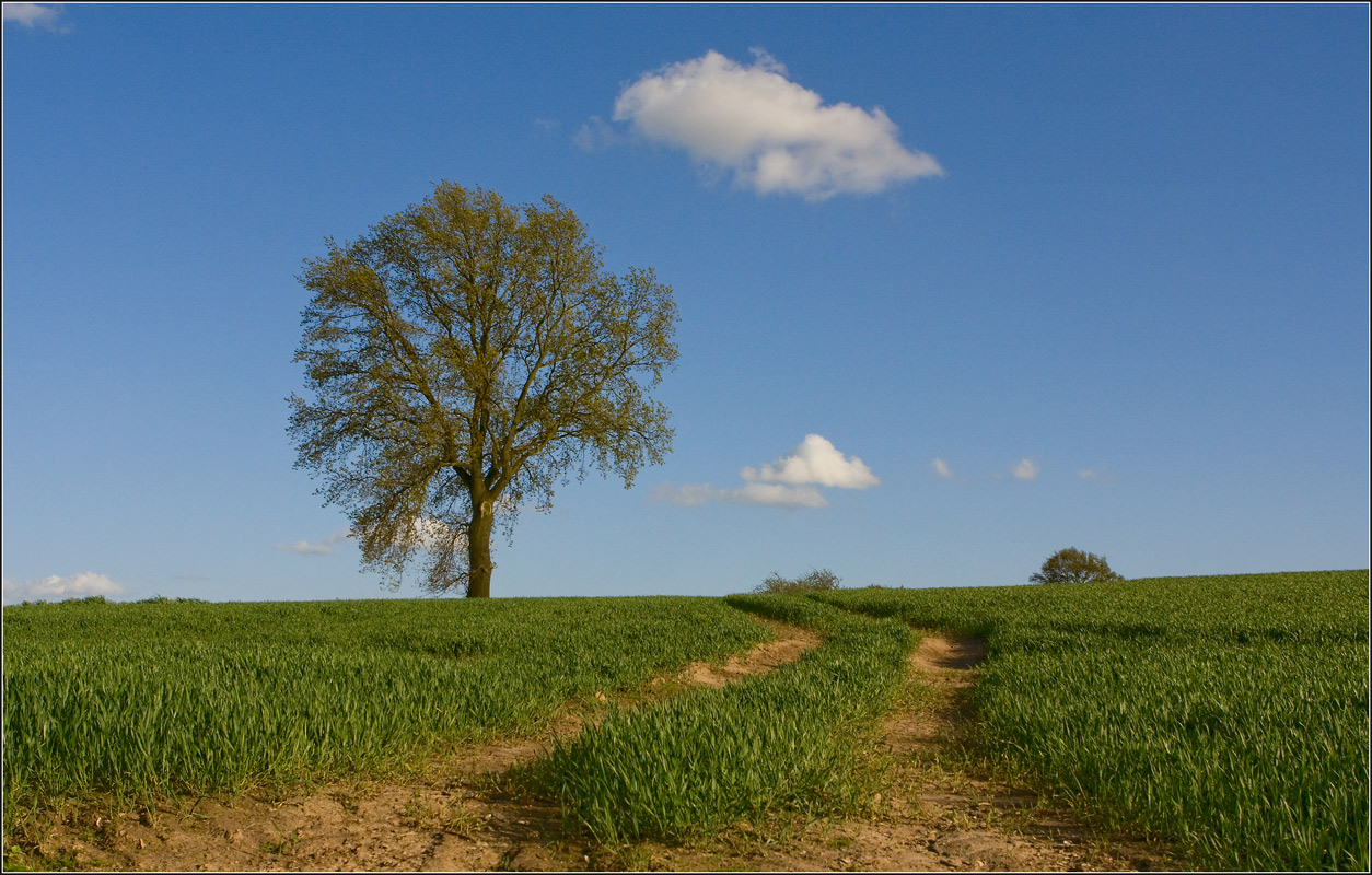 photo "***" tags: landscape, travel, Europe, spring