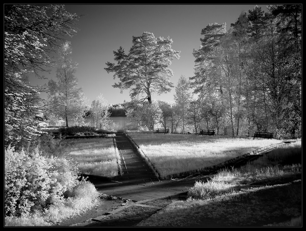 фото "В свете луны..." метки: пейзаж, infrared, лето, ночь