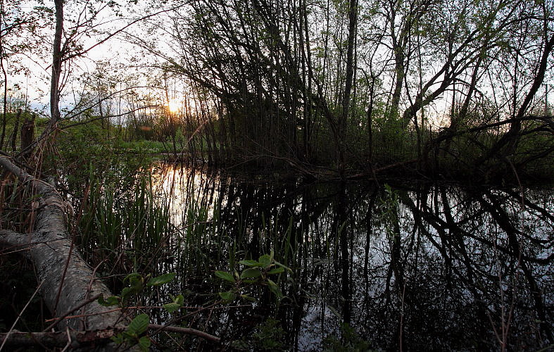photo "***" tags: landscape, water