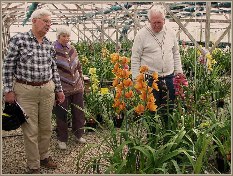 photo "Concentration - Judging Orchids." tags: genre, reporting, 