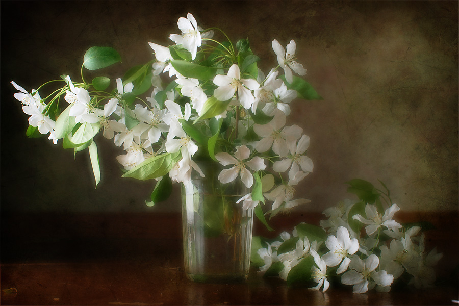 photo "***" tags: still life, 