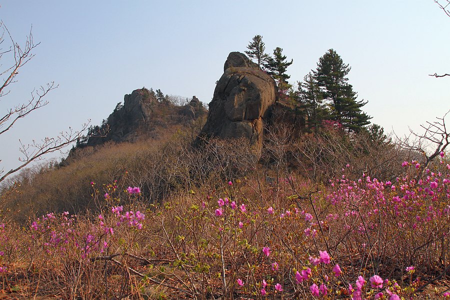photo "***" tags: landscape, spring