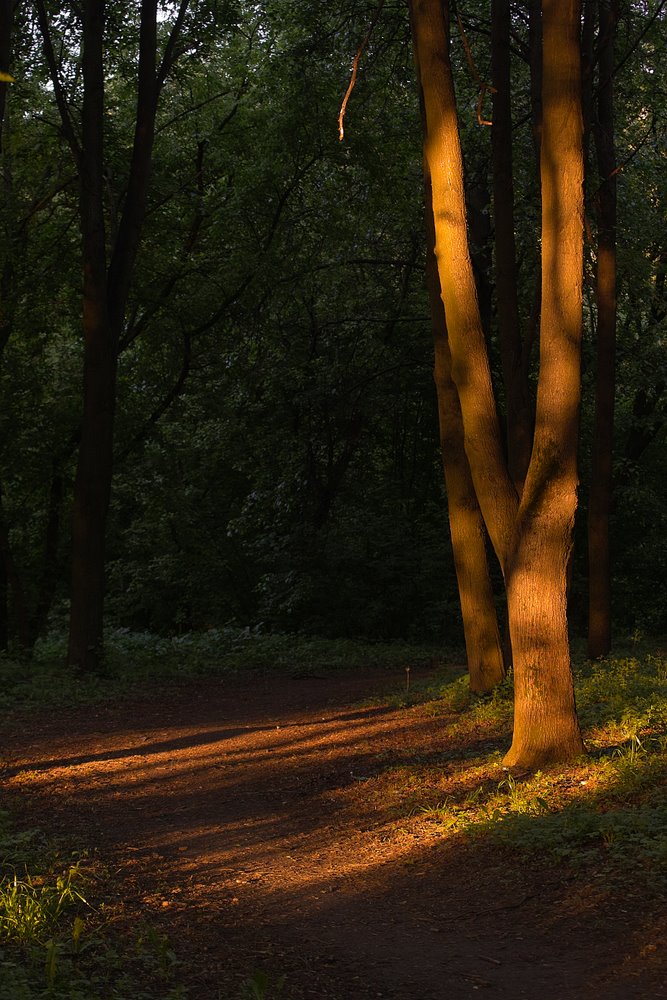 photo "***" tags: landscape, night