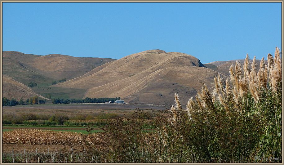 photo "Summer Drought" tags: landscape, summer