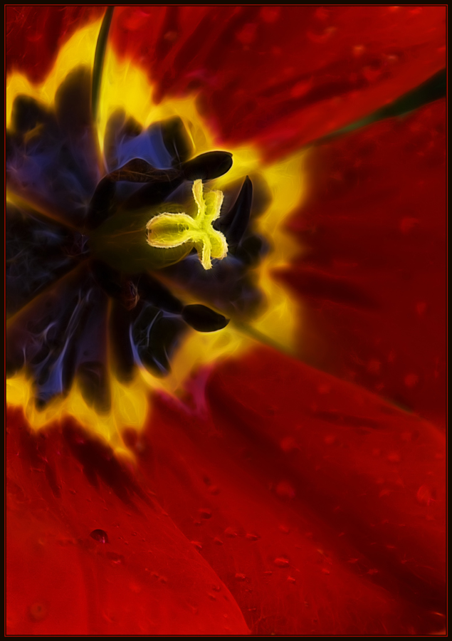 photo "Spring sharpness of sensations" tags: misc., 