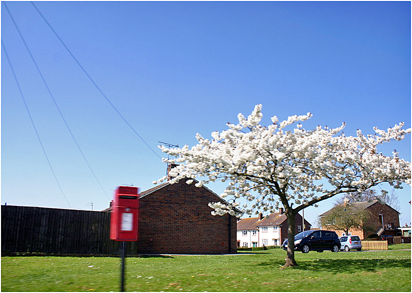 photo "***" tags: landscape, spring