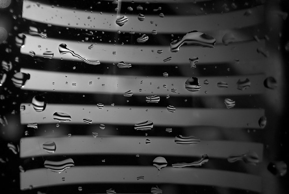 photo "drops" tags: macro and close-up, black&white, 