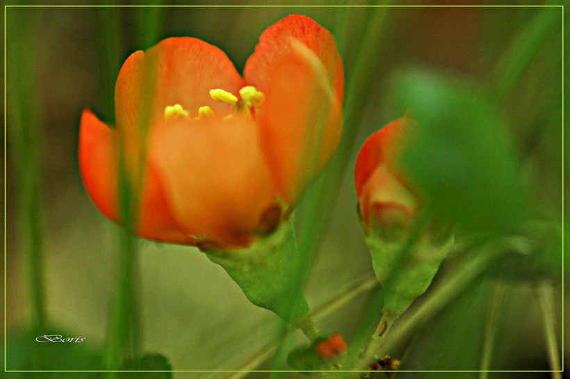 photo "***" tags: , 