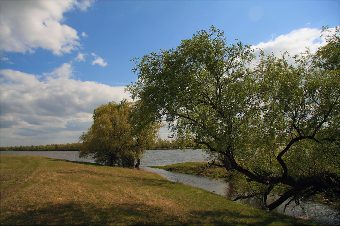 photo "***" tags: landscape, spring