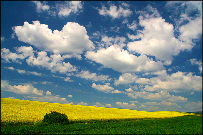 photo "Spring impression / Весеннее впечатление" tags: landscape, clouds, spring