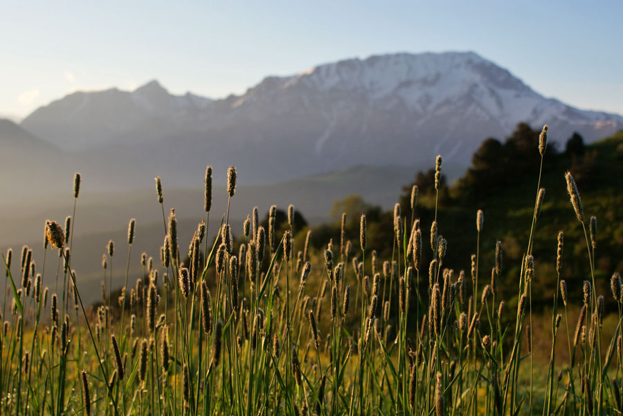 photo "***" tags: landscape, nature, flowers, mountains