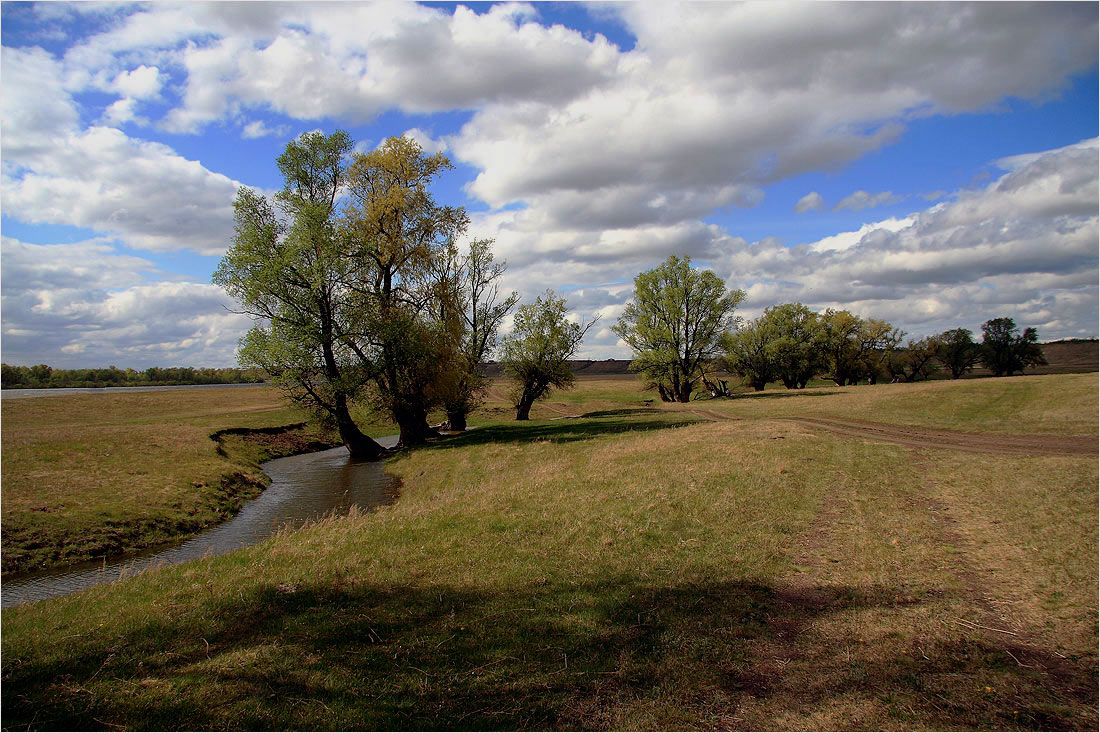photo "***" tags: landscape, spring