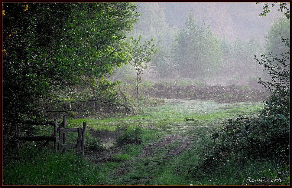 photo "ONE DAY IN MAI" tags: landscape, nature, flowers, spring
