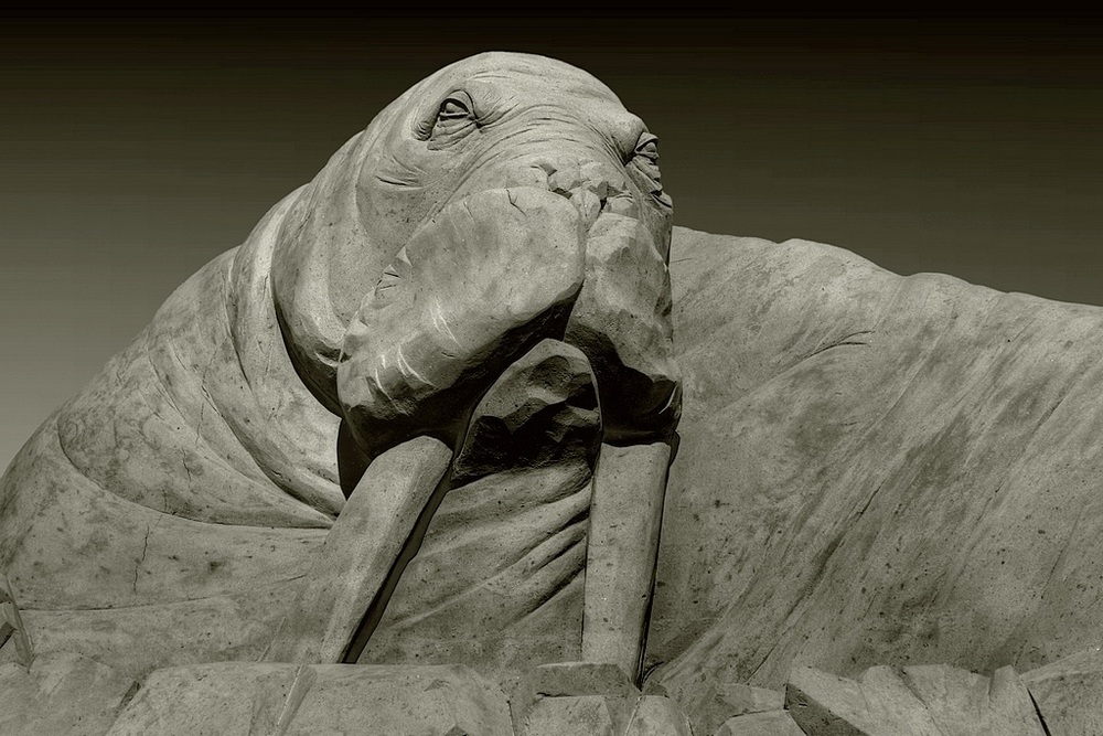 photo "walrus" tags: still life, misc., 