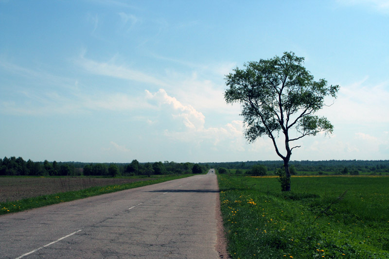 photo "Road to nowhere" tags: landscape, 