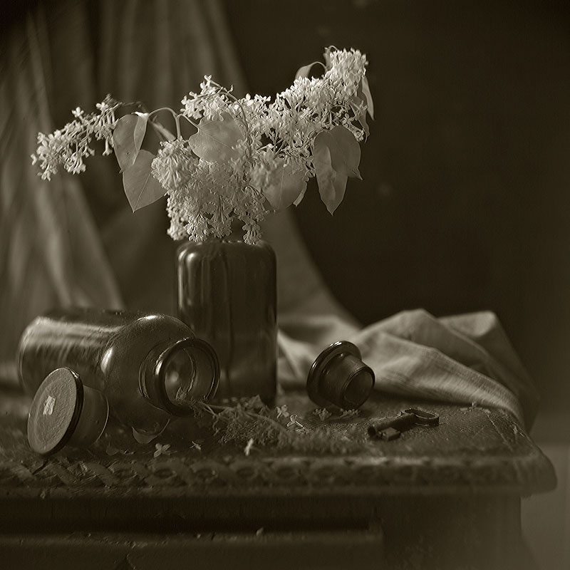 photo "***" tags: still life, 