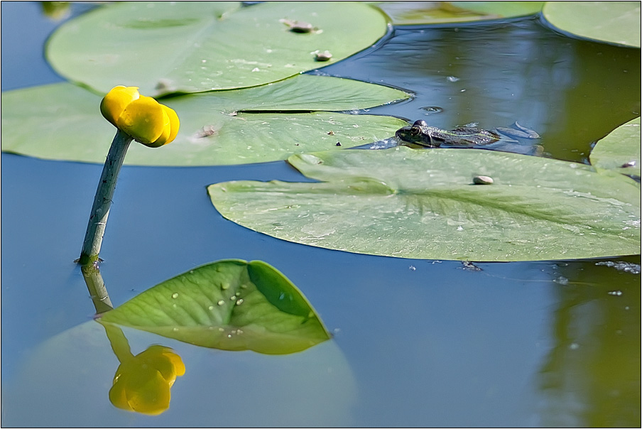 photo "***" tags: landscape, nature, water