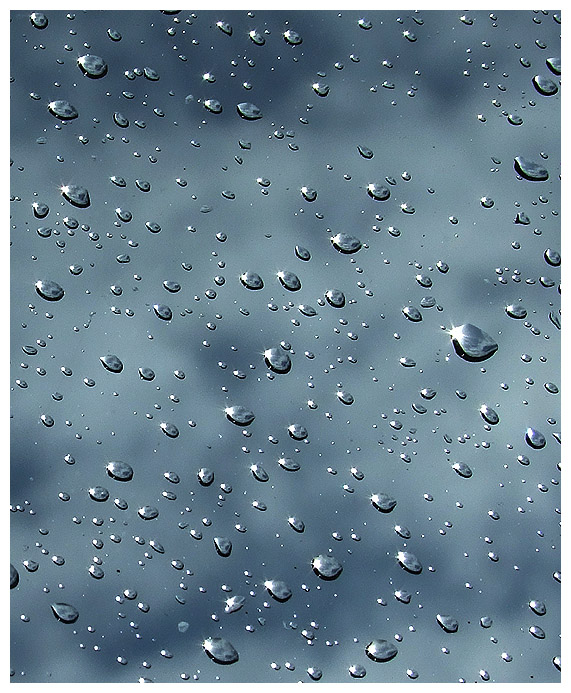 photo "Little Suns in Raindrops" tags: fragment, rain, sun