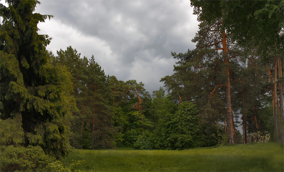 photo "Home Rain." tags: landscape, spring, фотопоэзия