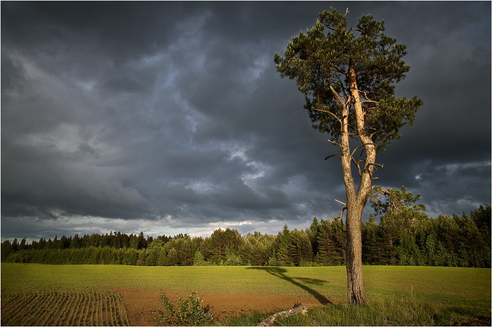 photo "***" tags: landscape, spring