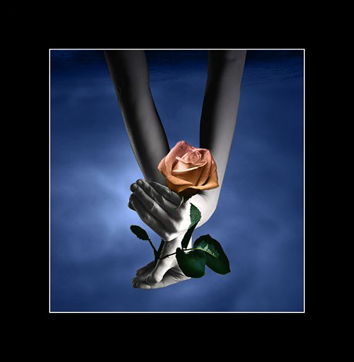 photo "***" tags: digital art, 