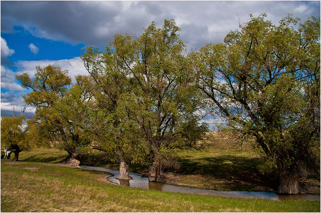 photo "***" tags: landscape, spring