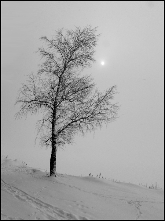 photo "White haze" tags: landscape, winter