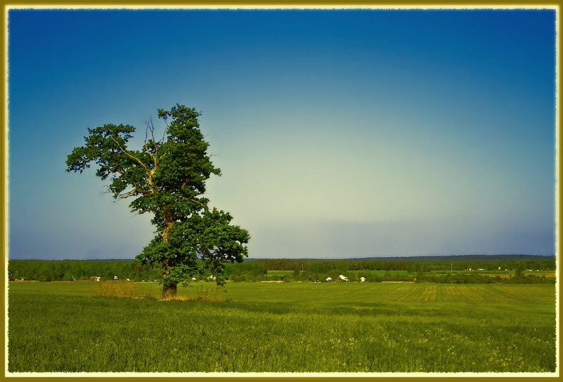 photo "***" tags: landscape, summer