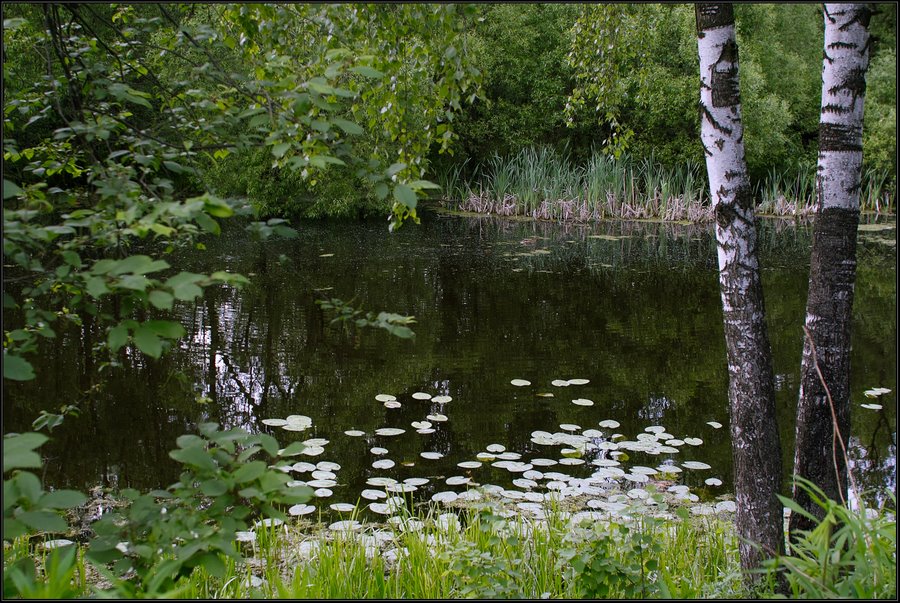 photo "***" tags: landscape, spring