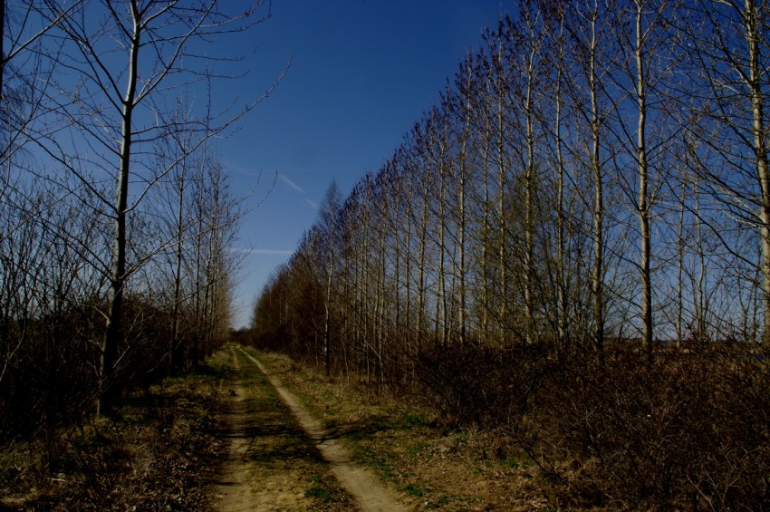 photo "***" tags: landscape, 