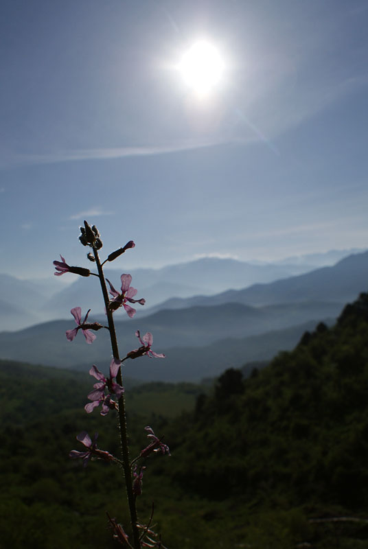 photo "***" tags: landscape, nature, mountains