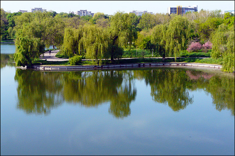 photo "Peaceful lake / Мирное озеро" tags: landscape, spring, water