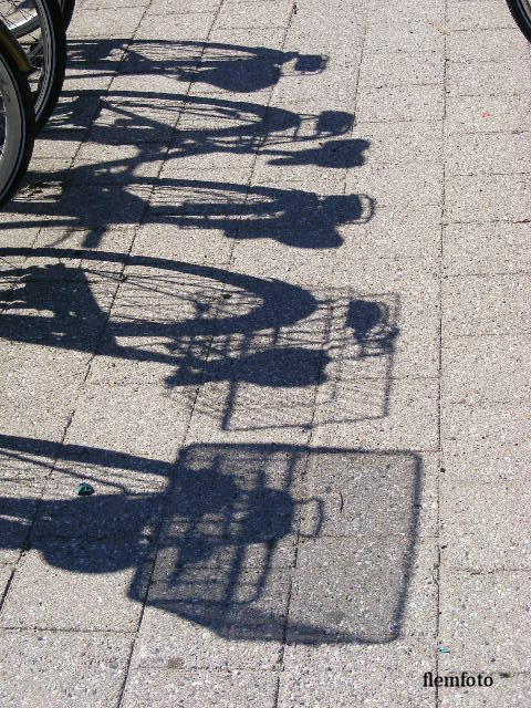 photo "Shadow." tags: reporting, 