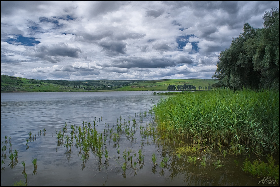 photo "***" tags: landscape, summer, water