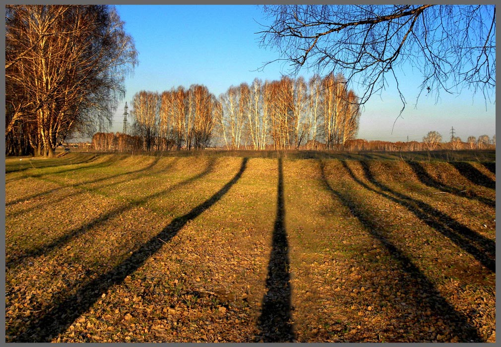 фото "..." метки: пейзаж, весна, лес