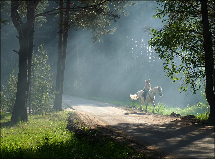 photo "***" tags: landscape, genre, forest