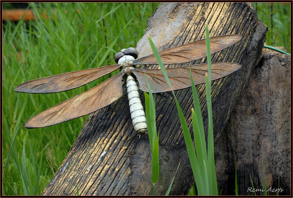 photo "big one" tags: nature, macro and close-up, 