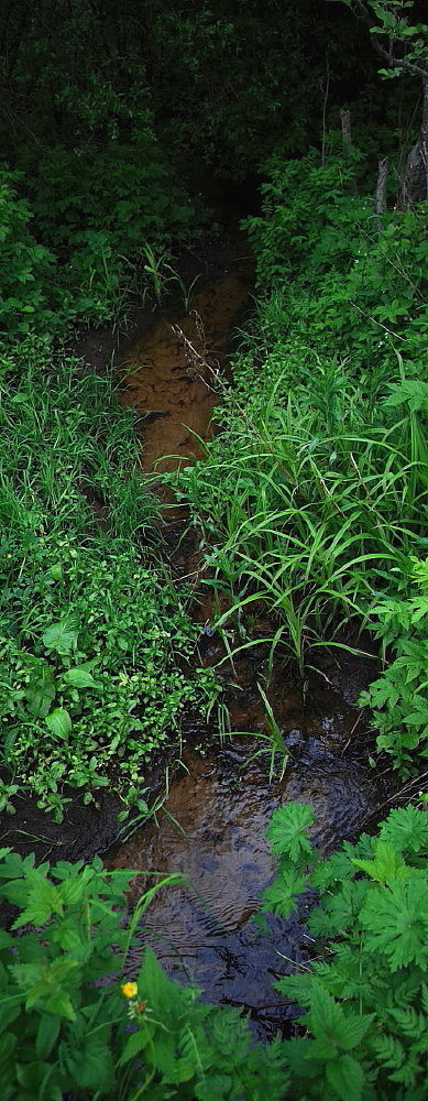 photo "***" tags: fragment, 