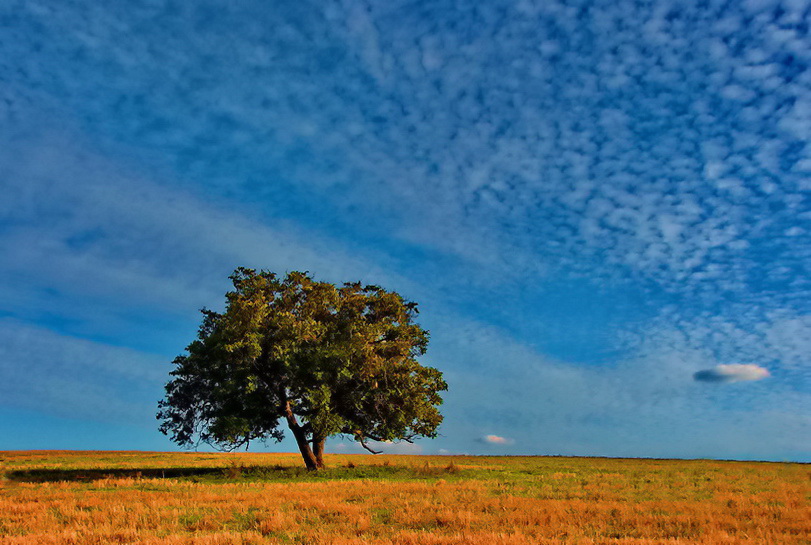 photo "***" tags: landscape, autumn