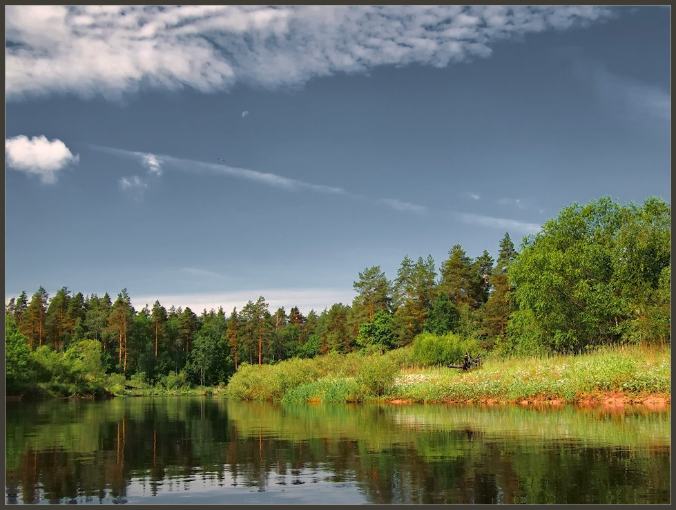 photo "***" tags: landscape, forest, summer